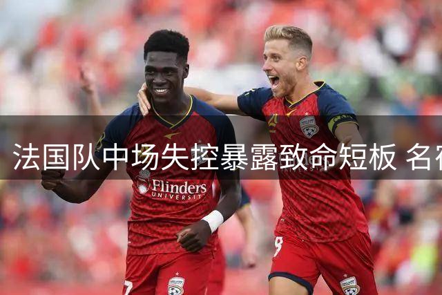 法国队中场失控暴露致命短板 名宿点破缺"定海神针"困局