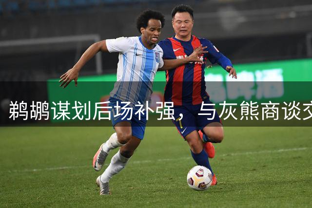 鹈鹕谋划后场补强，与灰熊商谈交易为马瑟林腾空间